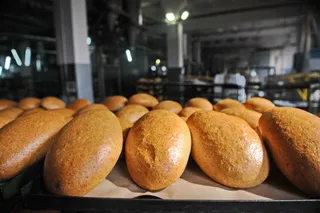 Фото: Владимир Третьяков