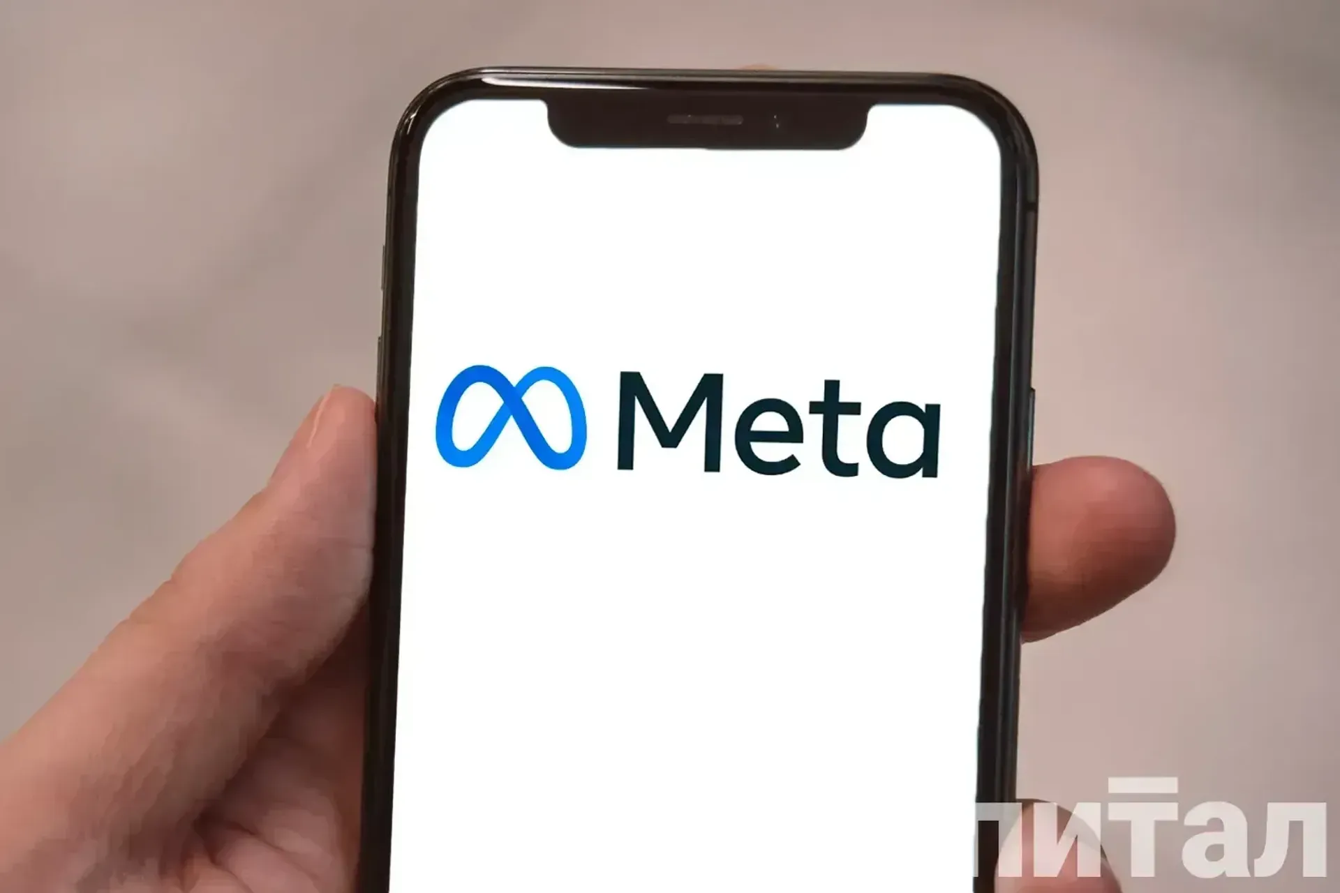 Фото: Валерия Змейкова 