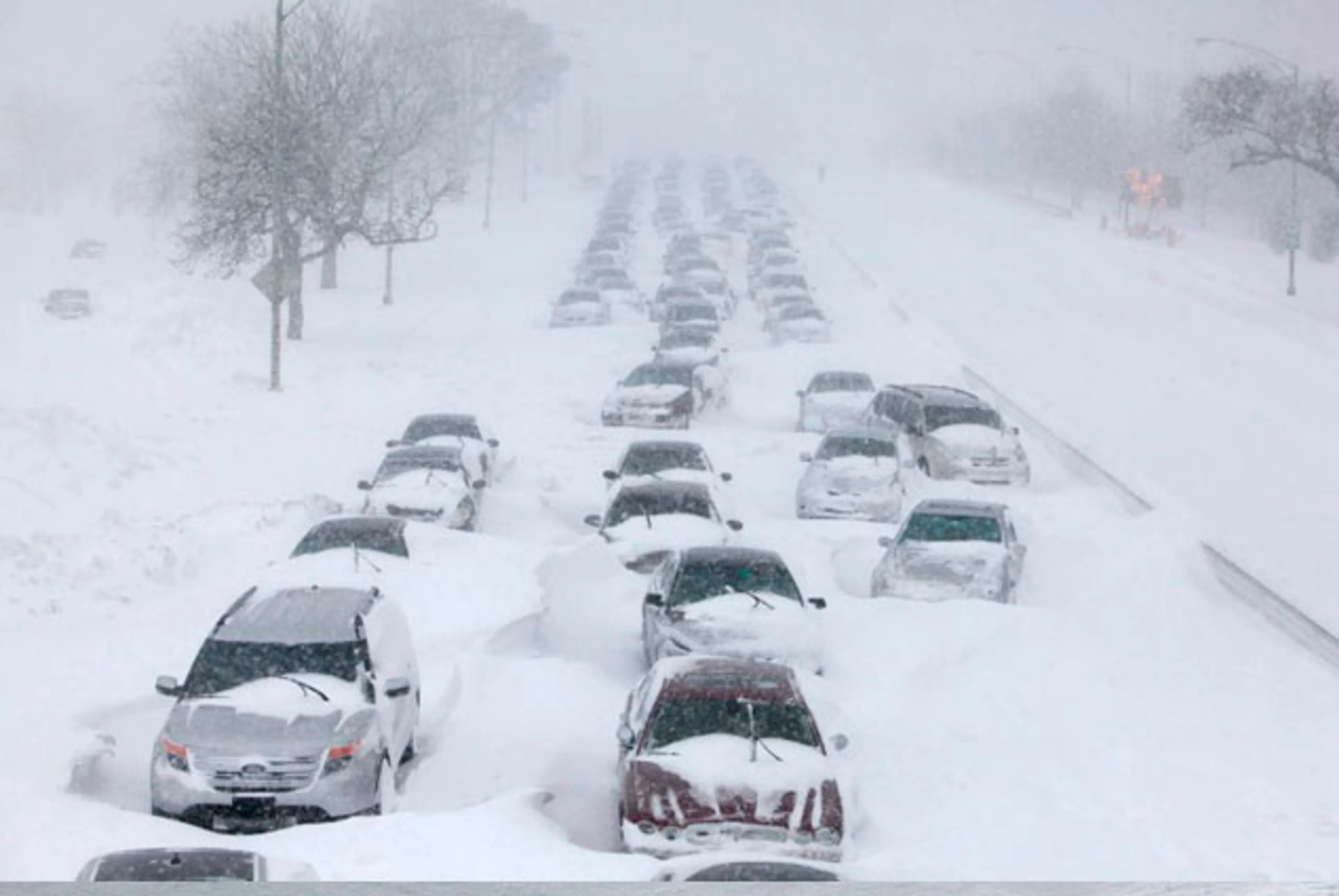 Капитал - В США ввели режим чрезвычайного положения