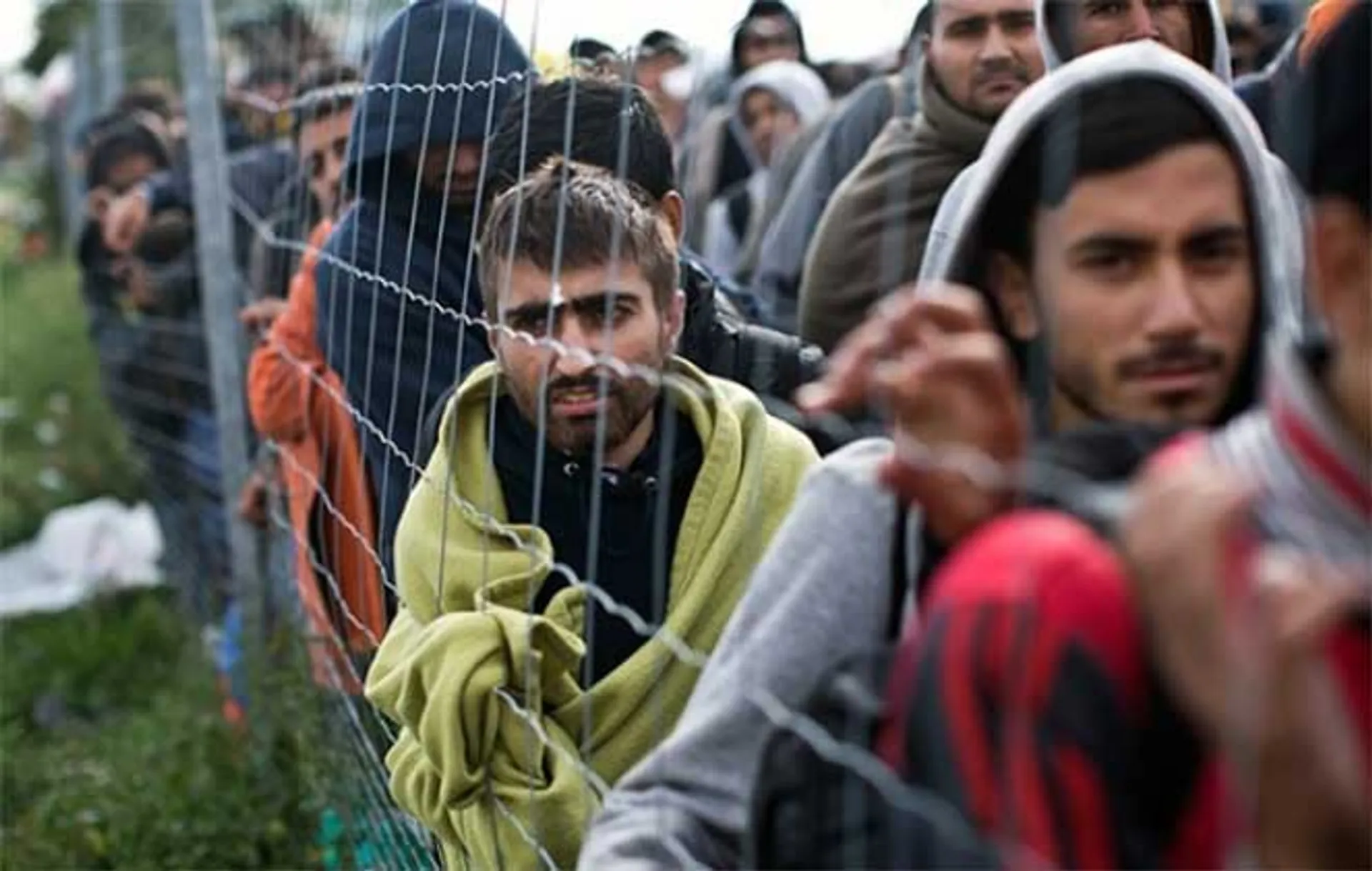 Капитал - ООН: Число беженцев по всему миру достигло 70,8 млн