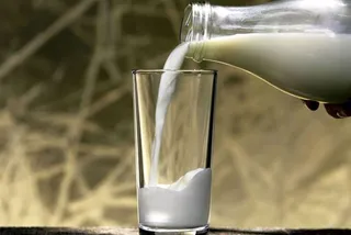 Капитал - В Павлодаре запустили автоматическую линию розлива и упаковки кумыса