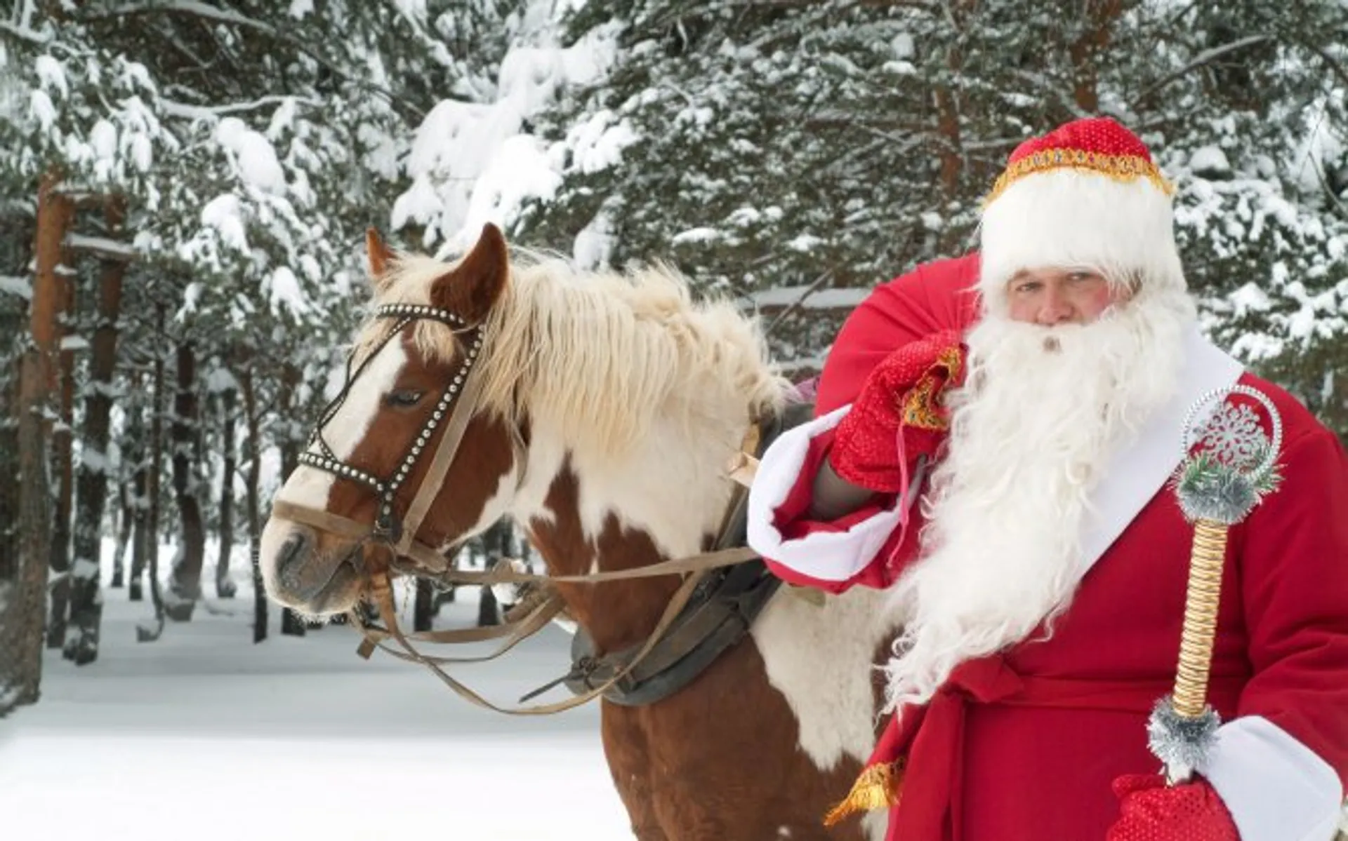 Капитал - Владения русского Деда Мороза оказались на втором месте по стоимости в Европе