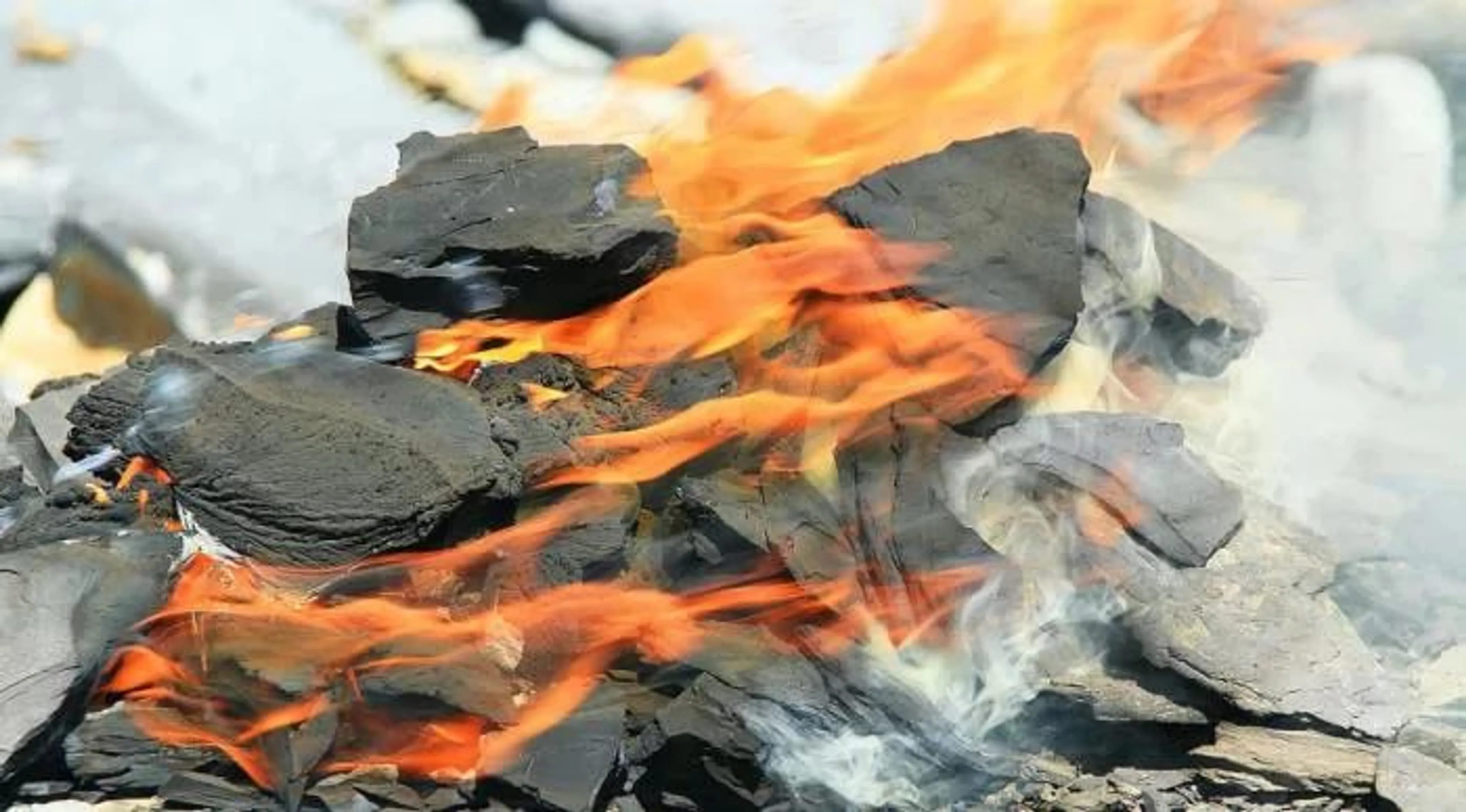 Капитал - Компании США и Китая заинтересовались горючими сланцами в Узбекистане