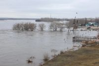 Фото: пресс-служба акимата Костанайской области
  