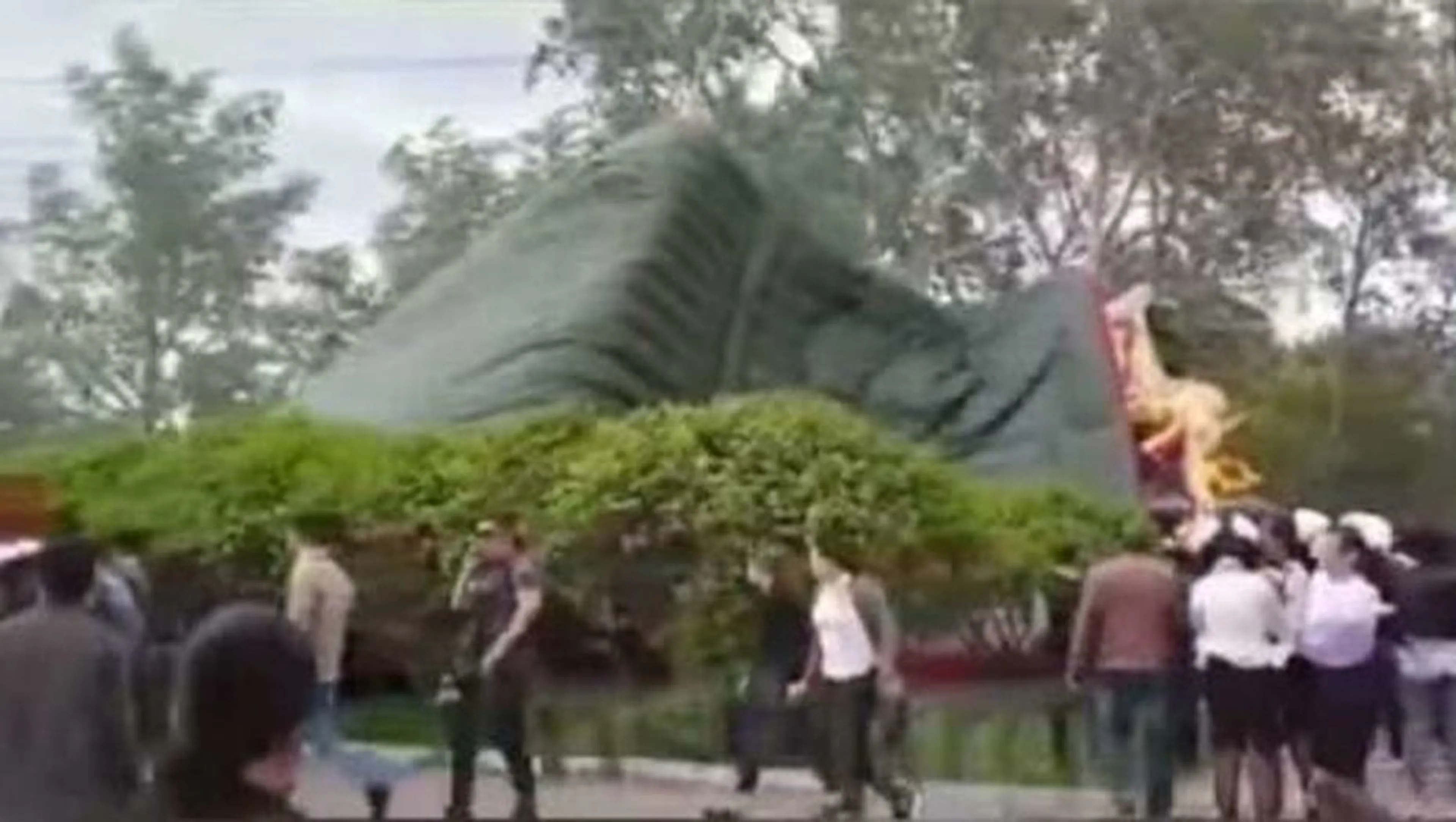 Капитал - В Караганде уволен глава Управления парками и скверами