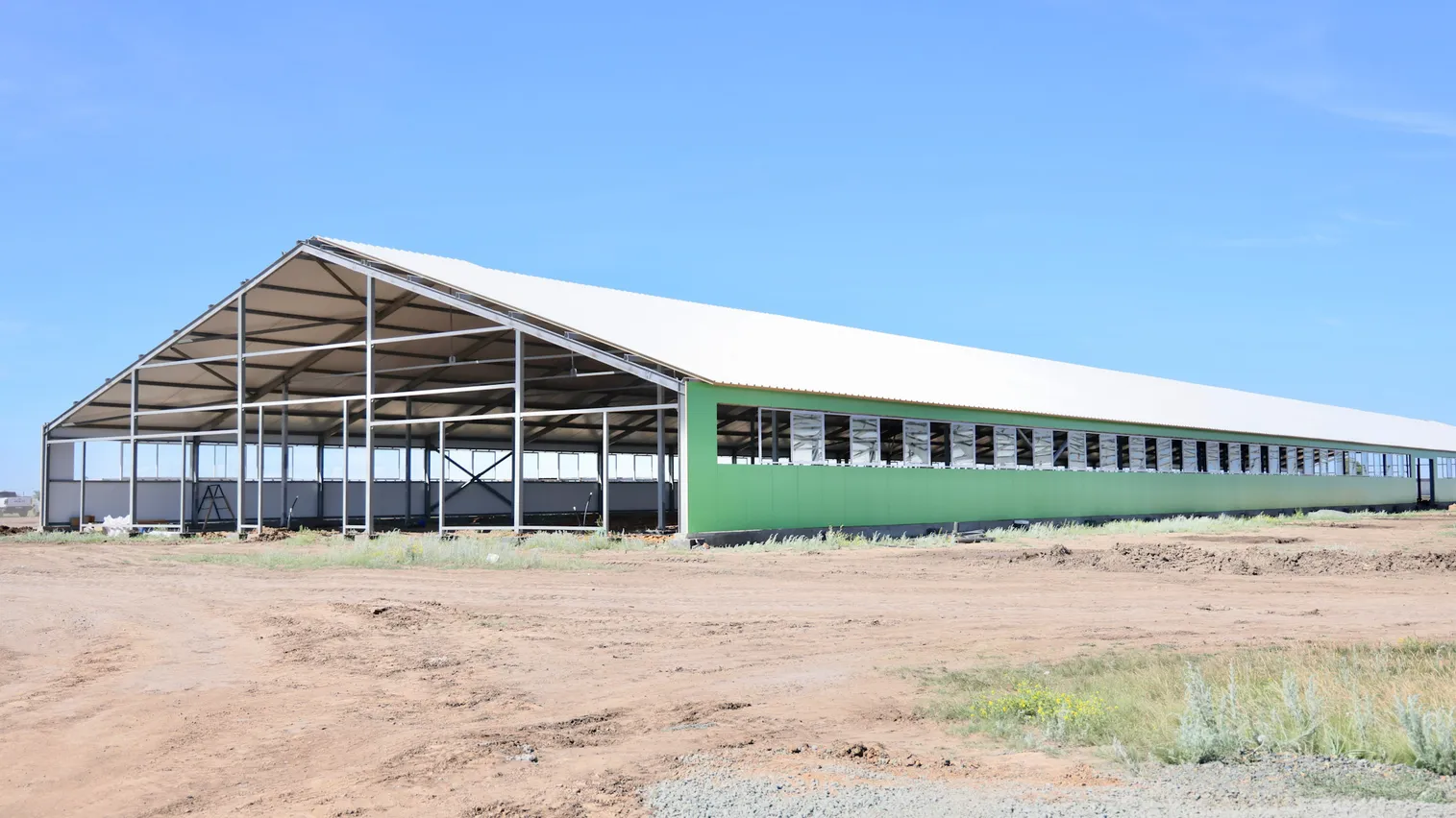 Крупную молочно-товарную ферму запустят в Карагандинской области - фото kapital.kz