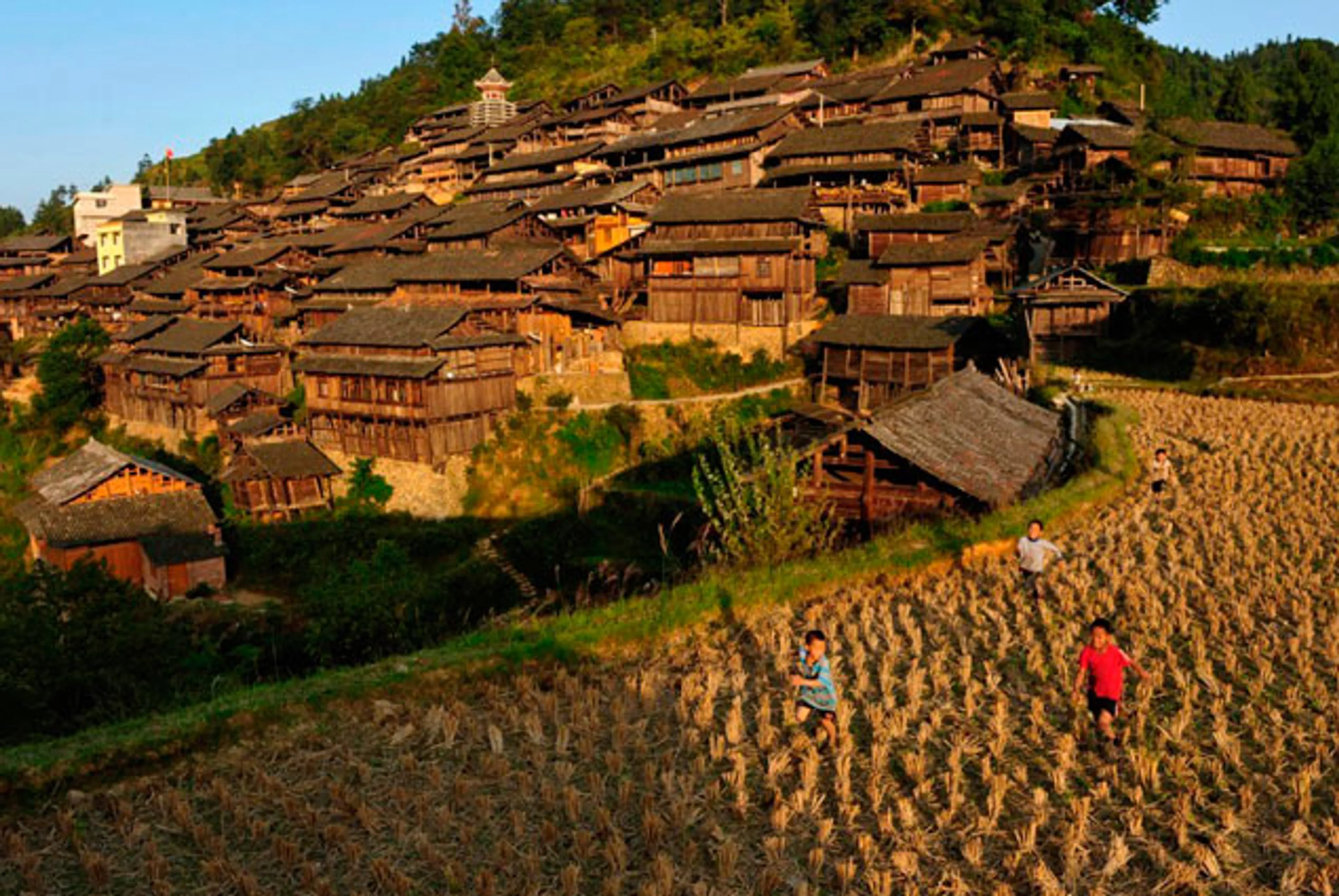 Капитал - 64 млн китайцев потеряли землю и дома