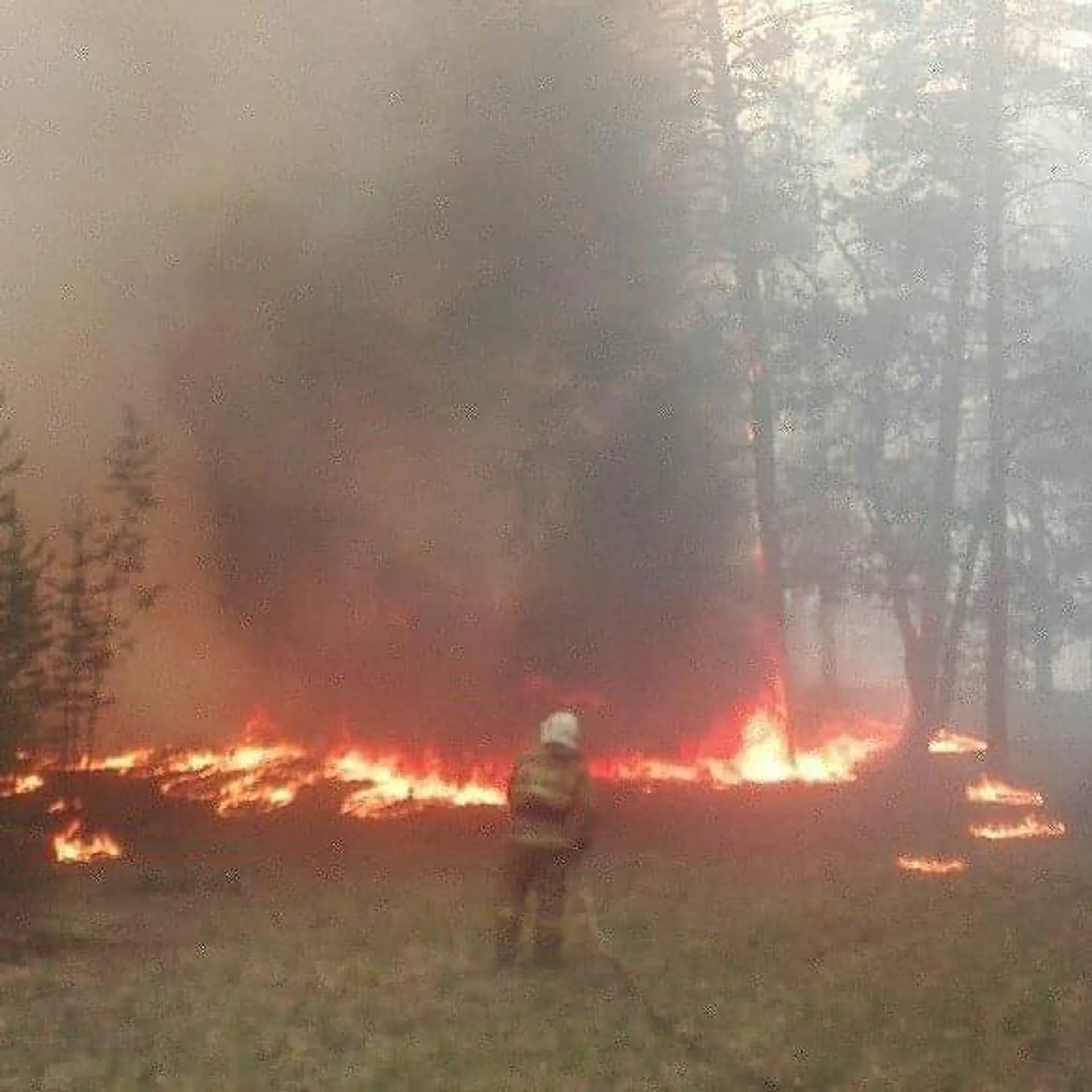 Капитал - В Восточном Казахстане тушат лесной пожар