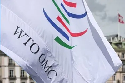 Кто нас ждет в ВТО?