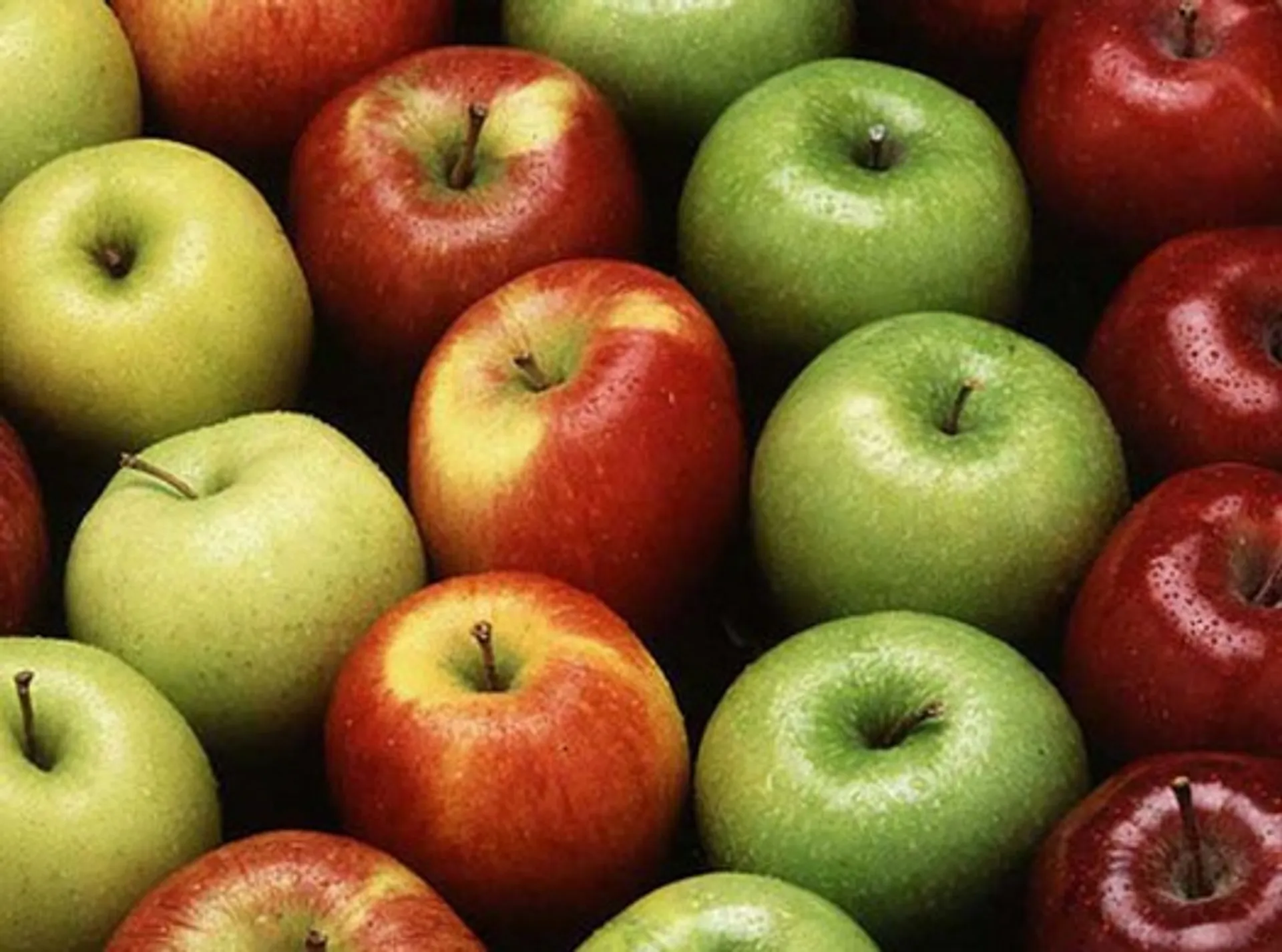 Капитал - Фрукты из Казахстана в Россию завозятся законно