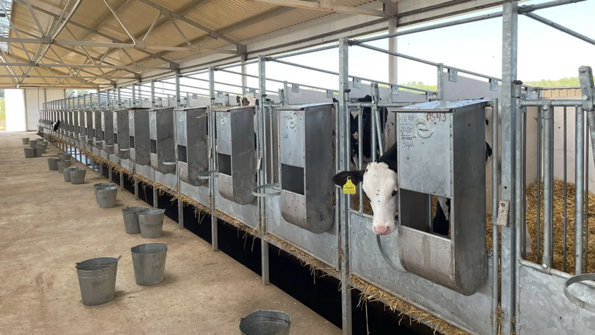 Капитал - В 2023 году в агропромышленном комплексе Казахстана запустили 207 инвестпроектов