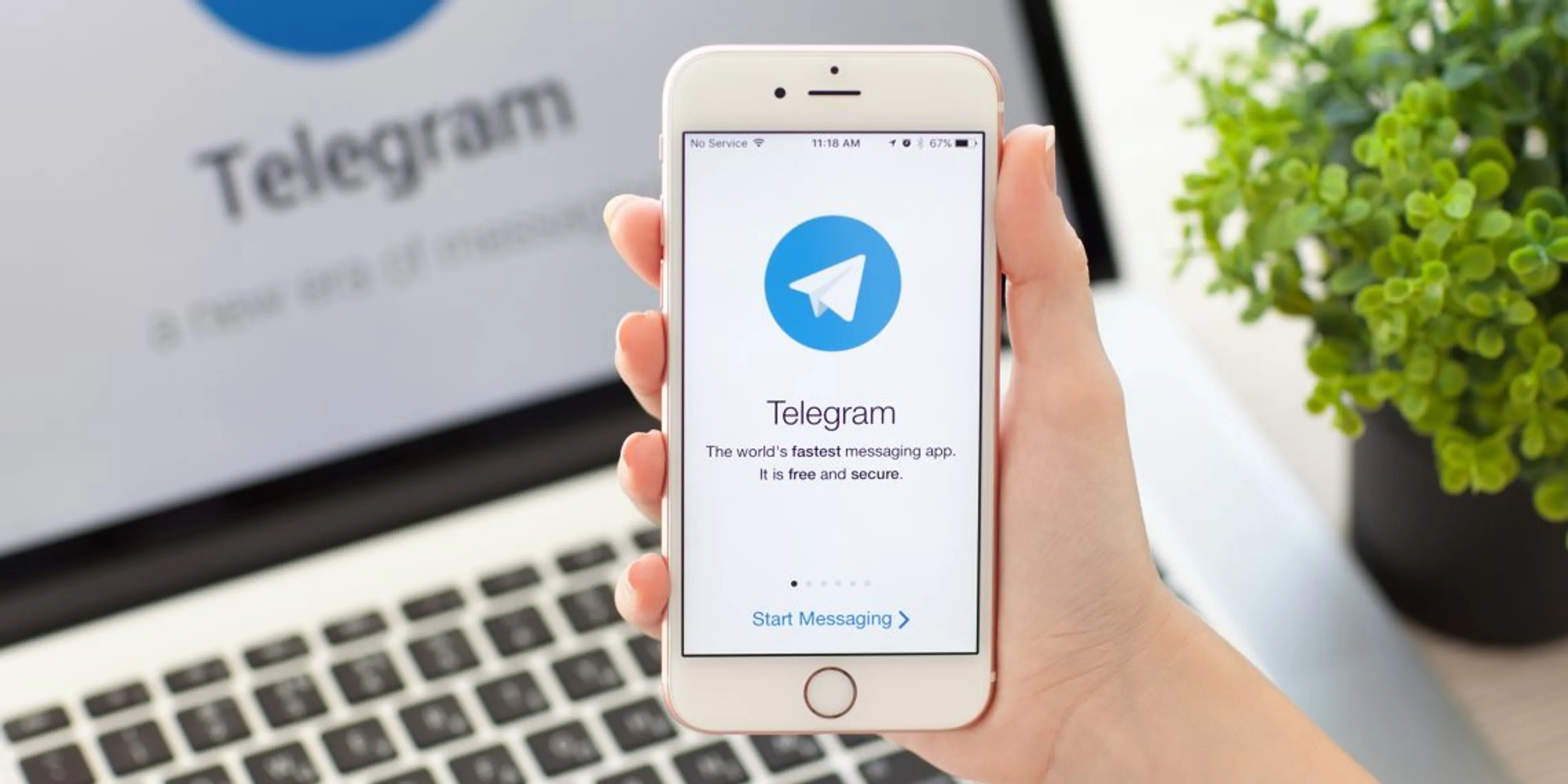 Капитал - Глава Роскомнадзора пригрозил заблокировать Telegram