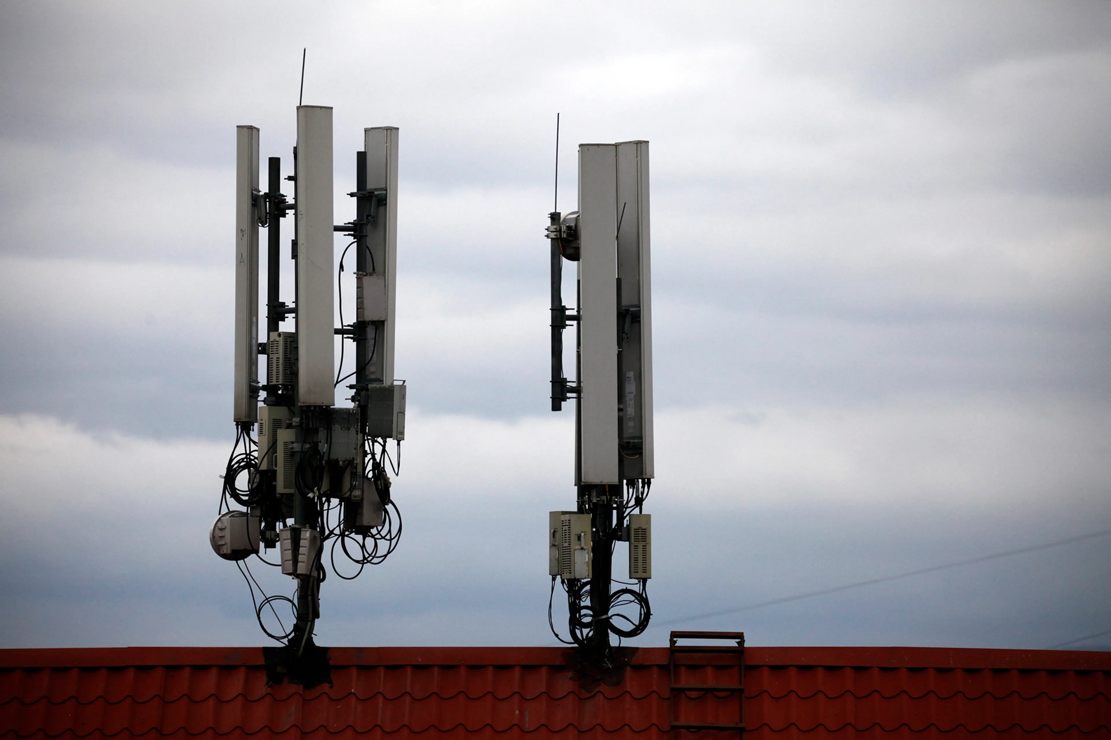 Фото: Руслан Пряников