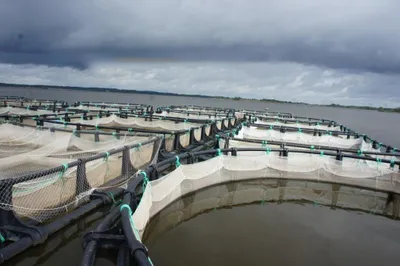 Водохранилища в Казахстане будут приносить прибыль