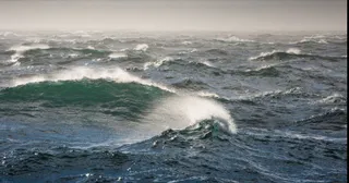 Капитал - Сухогруз потерпел крушение в Черном море