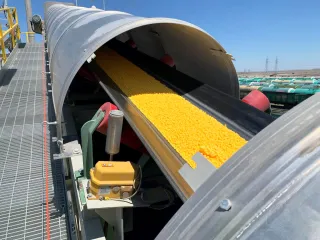 Капитал - На Тенгизе запущен завод по производству гранулированной серы