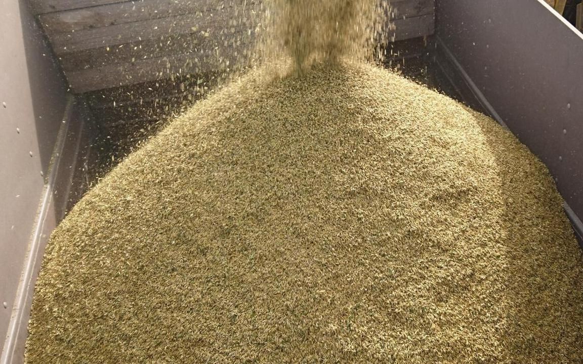 Фото: Министерство сельского хозяйства РК 