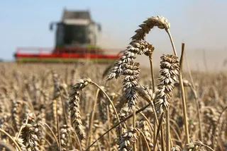 Капитал - Казагромаркетинг одобрил удешевление 233 договоров займа