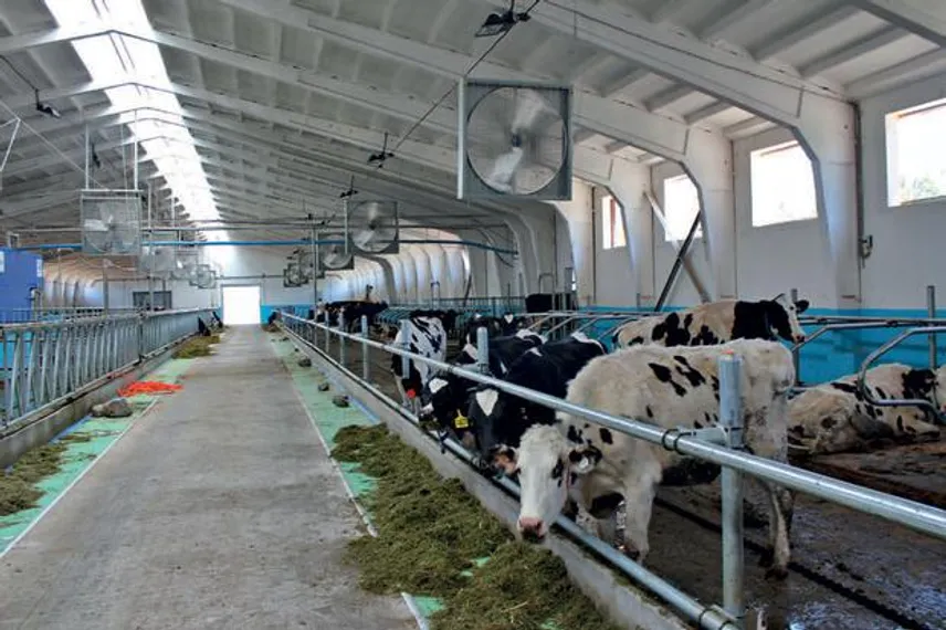 Капитал - Аграриям необходимо держать тесную связь с наукой