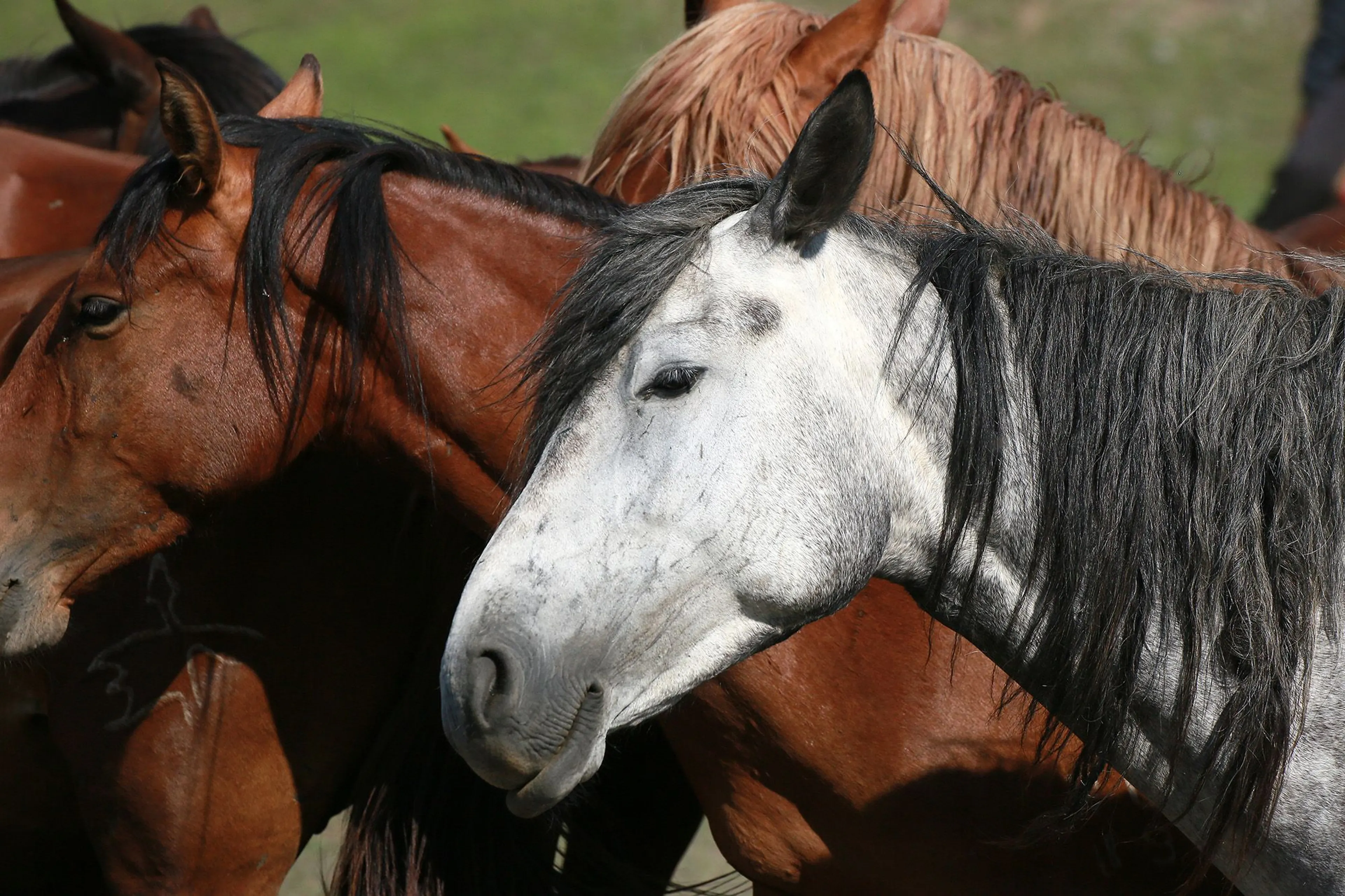 Фото: Руслан Пряников