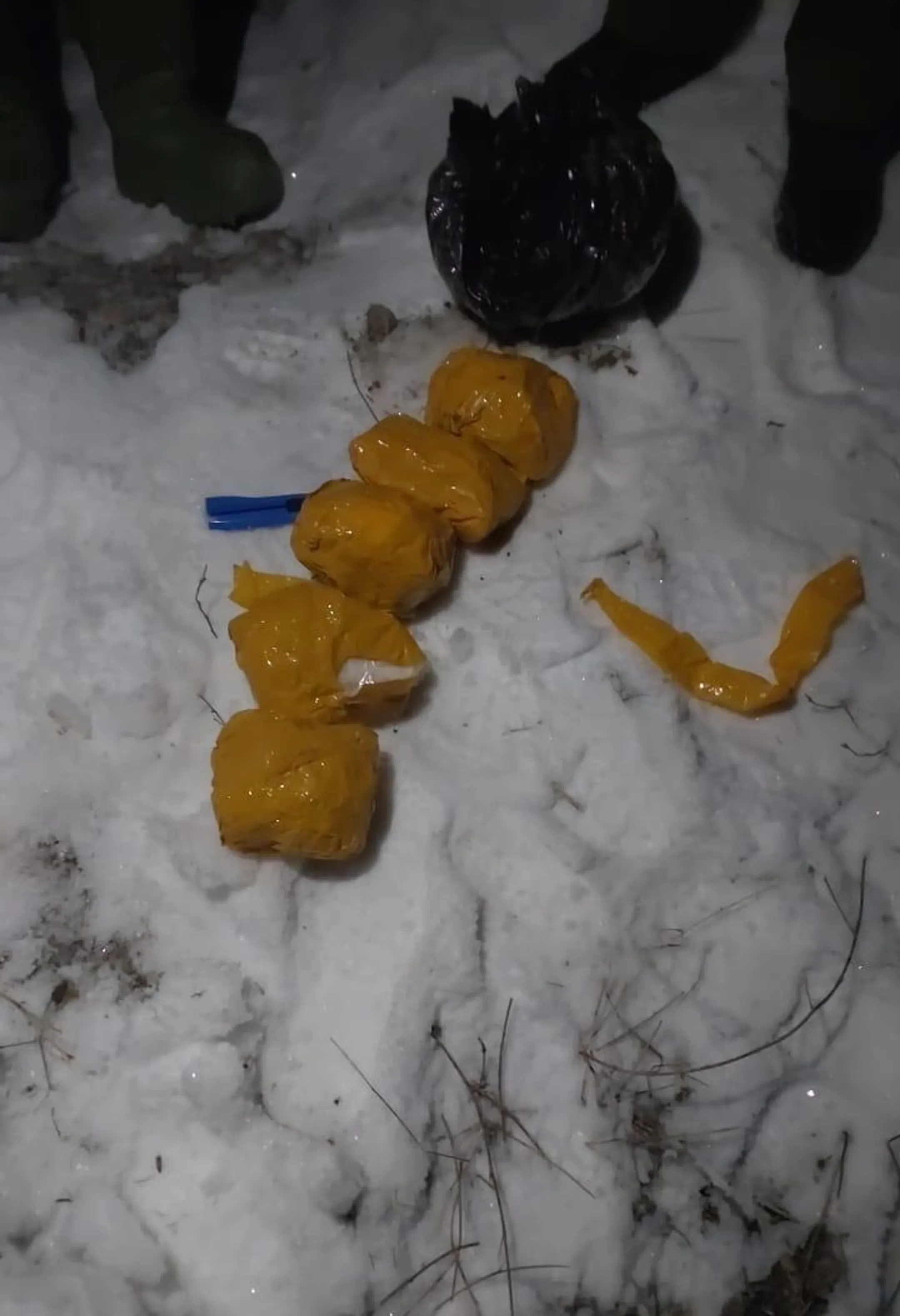 Пресечена деятельность преступной наркогруппы - КНБ - Image Kapital.kz