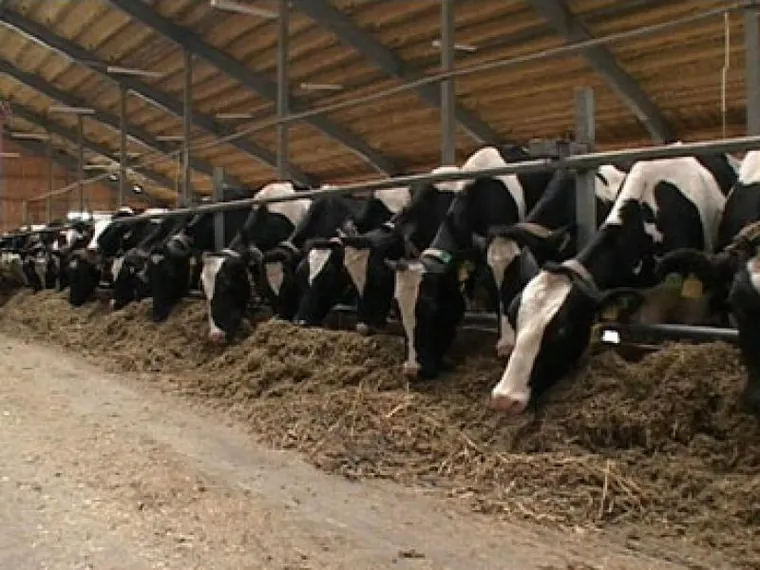 Капитал - Генетический потенциал в животноводстве РК на низком уровне