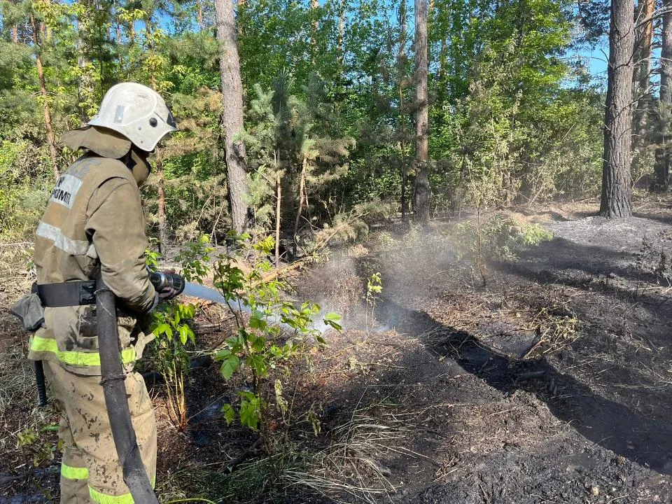 Пожар в области Абай локализовали