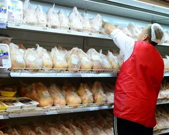 ЕС ввел временные ограничения на поставки птицы из России