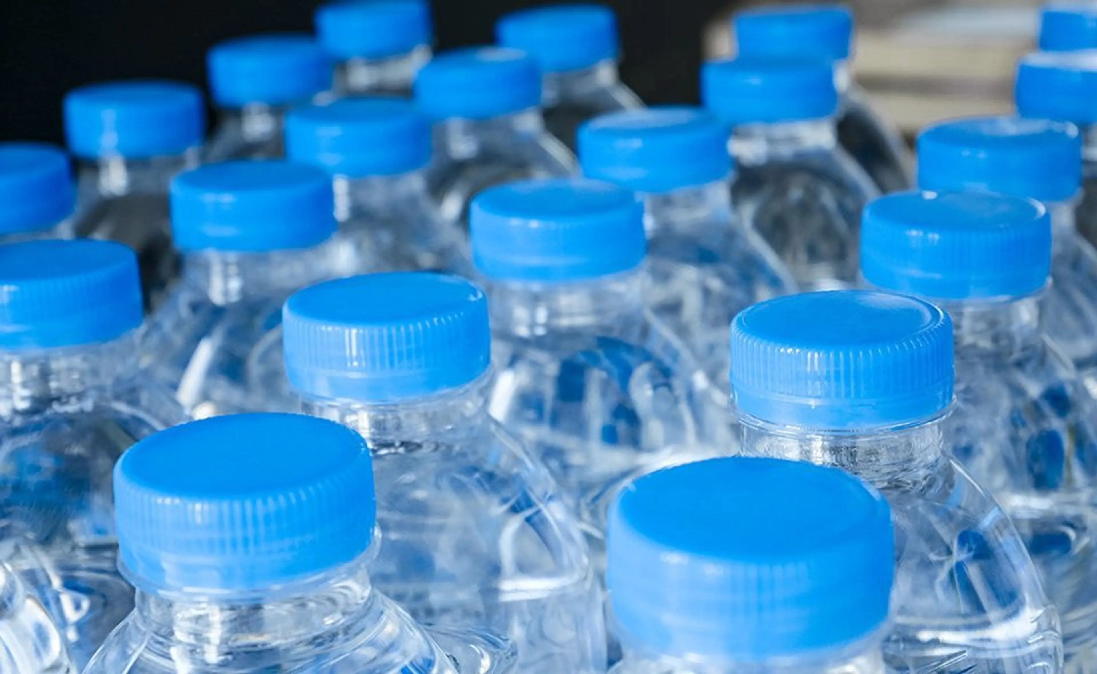 Капитал - Маркировка напитков: как проходит пилотный проект