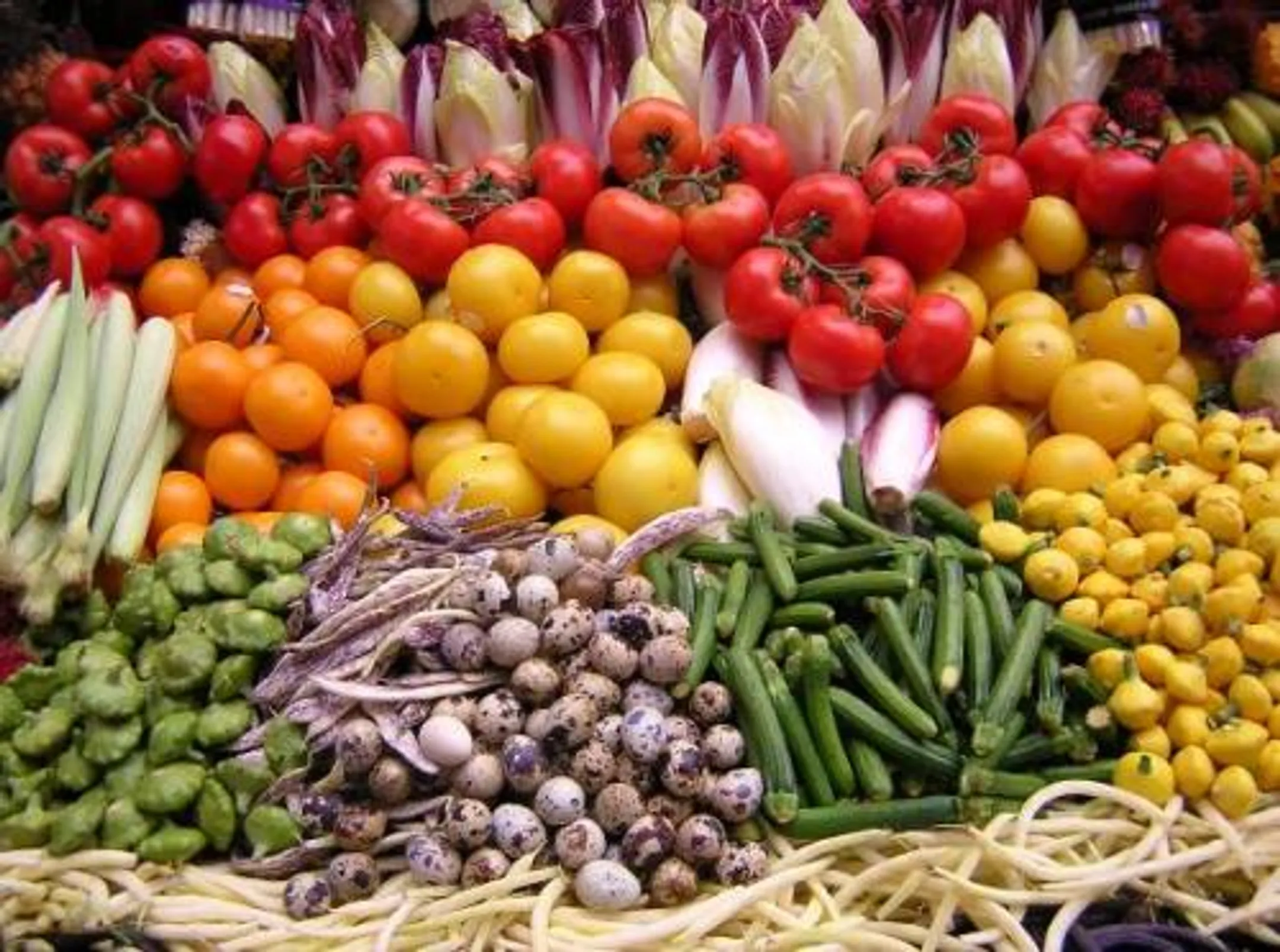 Шымкент получит овощи по цене производителя - Image Kapital.kz