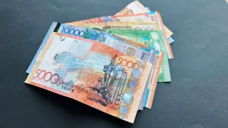 Фото: Валерия Змейкова