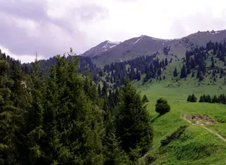 Капитал - Противостояние из-за Кок жайлау продолжается