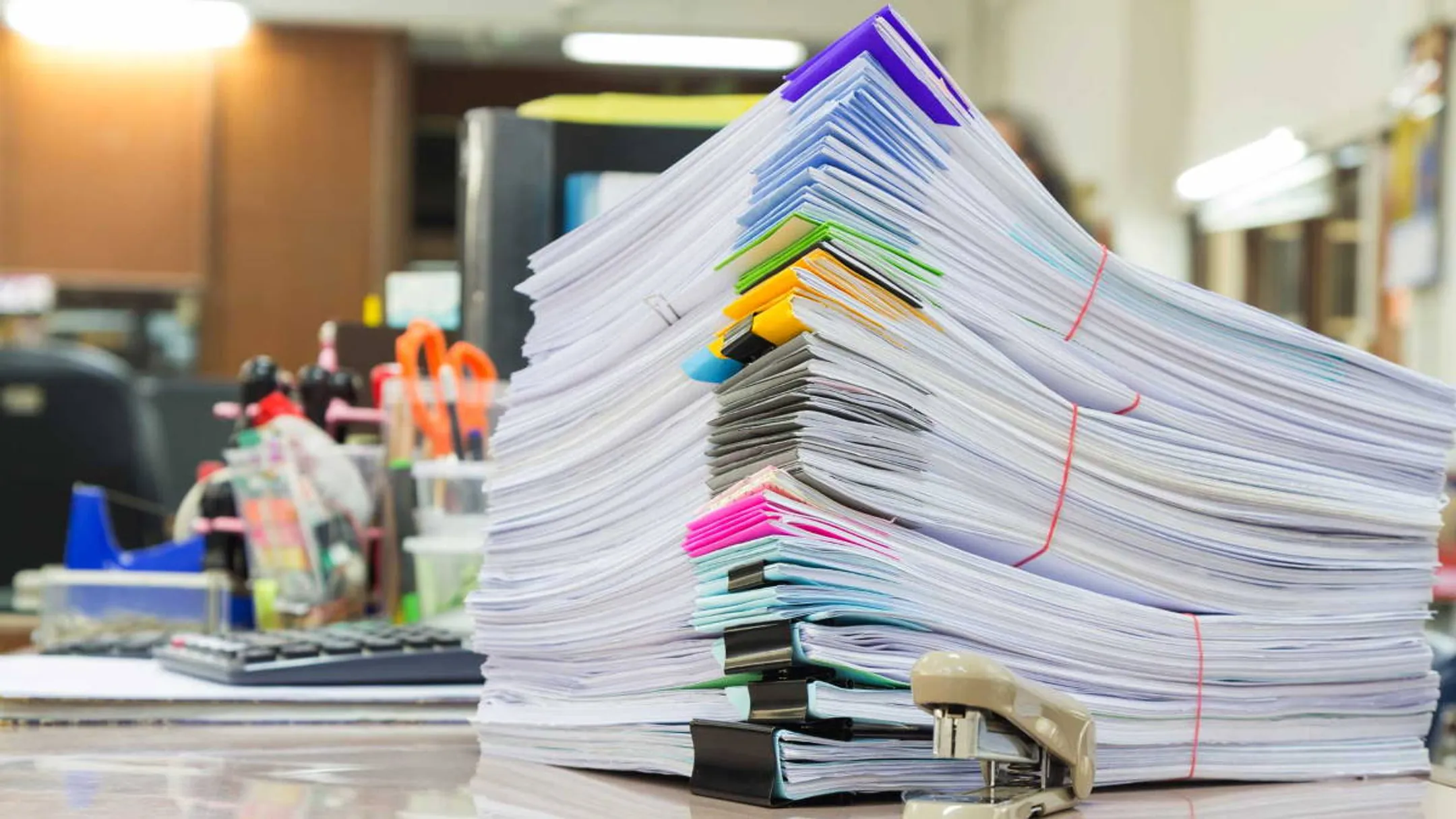 Shutterstock/Fotodom