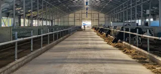 Фото: МСХ РК