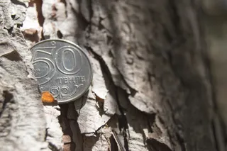Капитал - Платеж по кредиту в МФО не должен будет превышать 50% от дохода заемщика