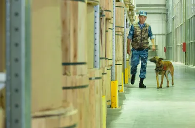 Сколько государство тратит на таможню?