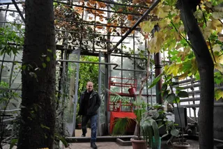 Капитал - В Ботаническом саду в Алматы построят смотровой мост