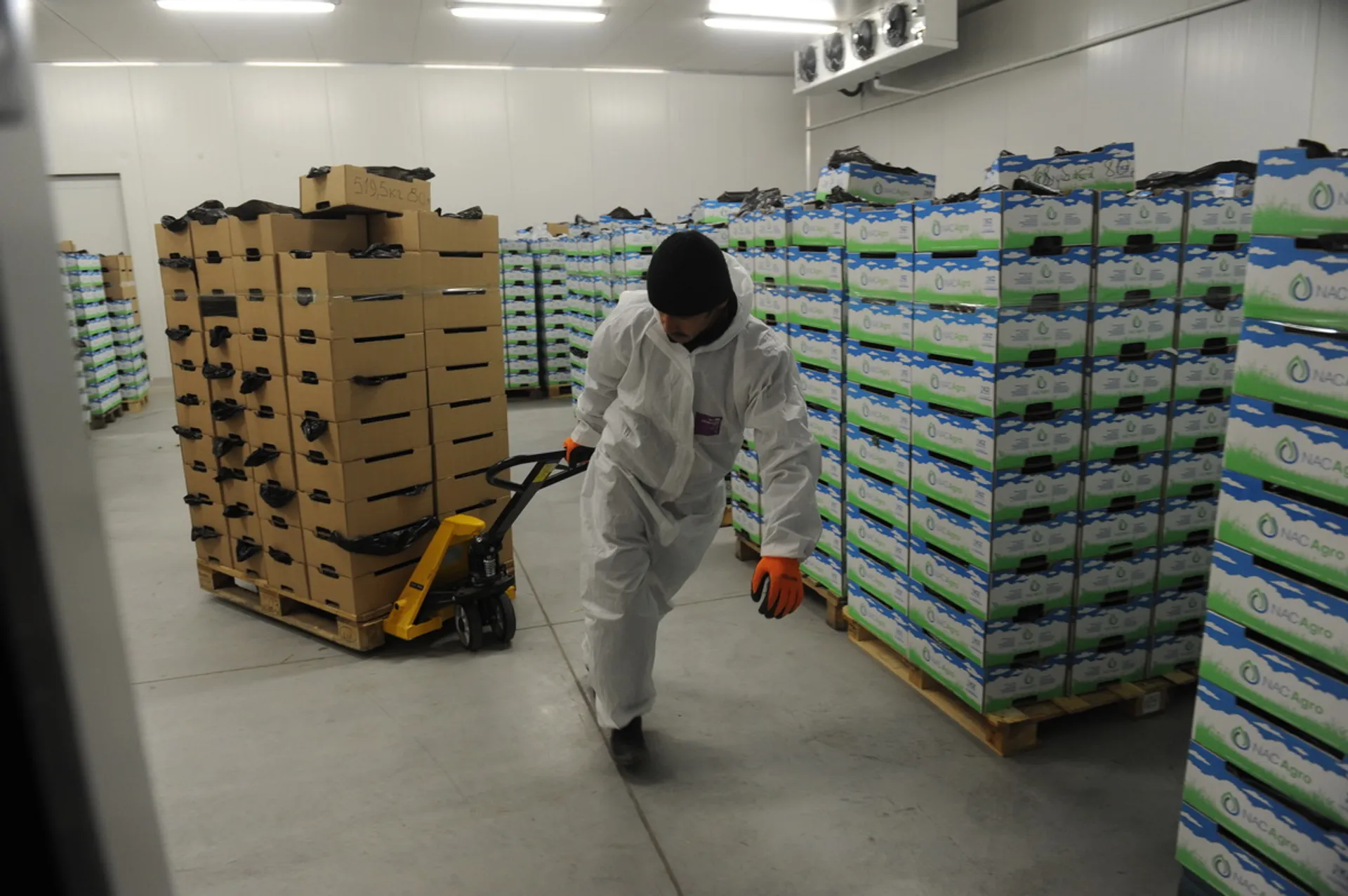 Фото: Владимир Третьяков