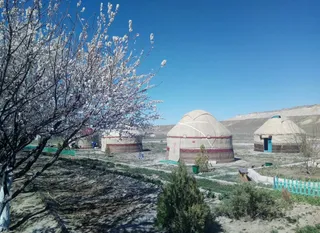 Капитал - Этноаул Мангистау привлекает туристов со всего мира