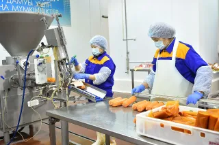 Капитал - В ЮКО реализуются 8 крупных инвестпроектов в сфере сельского хозяйства