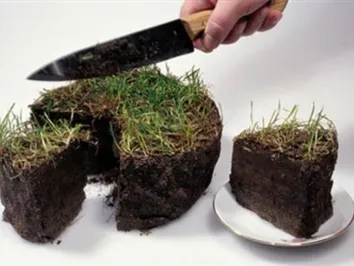 Обзор рынка земельных участков Алматы