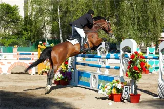 Капитал - Новый ипподром даст толчок развитию МСБ в Костанайской области