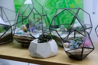 Капитал - Как уйти из нефтегазовой сферы в цветочный бизнес