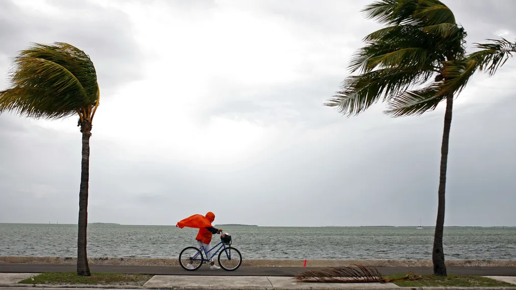 Капитал - К Флориде приближается ураган Ирма