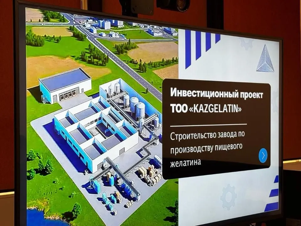 Завод по производству пищевого желатина построят в Алматинской области 