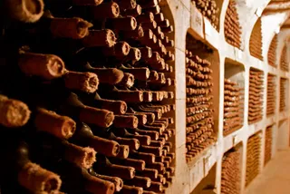 Капитал - Миру грозит дефицит вина