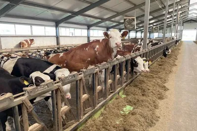 Фото: Министерство сельского хозяйства РК 