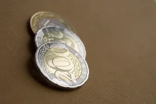 Фото: Валерия Змейкова