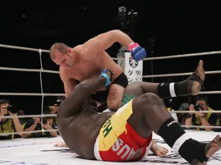 Капитал - Федора Емельяненко хотят вернуть на профессиональный ринг