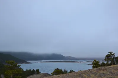 Для развития Щучинско-Боровской курортной зоны привлекут инвесторов